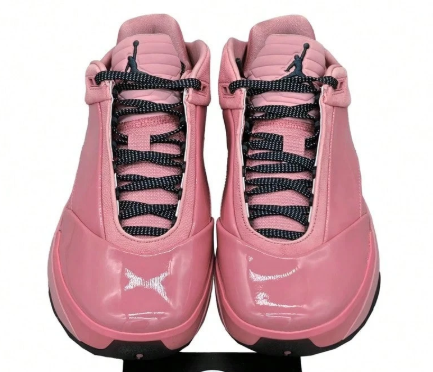 Nike Air Jordan 40 PF "Dusty Rose" Jordan 40 AJ 40 HM9932-600 Men's