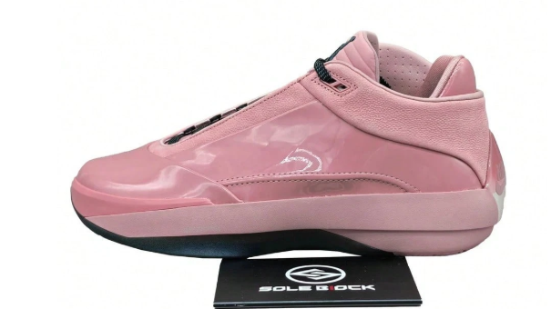 Nike Air Jordan 40 PF "Dusty Rose" Jordan 40 AJ 40 HM9932-600 Men's