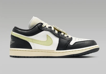 Air Jordan 1 Low SE Women's Sneakers HQ3009-003